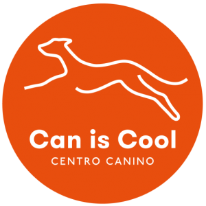 Can is Cool